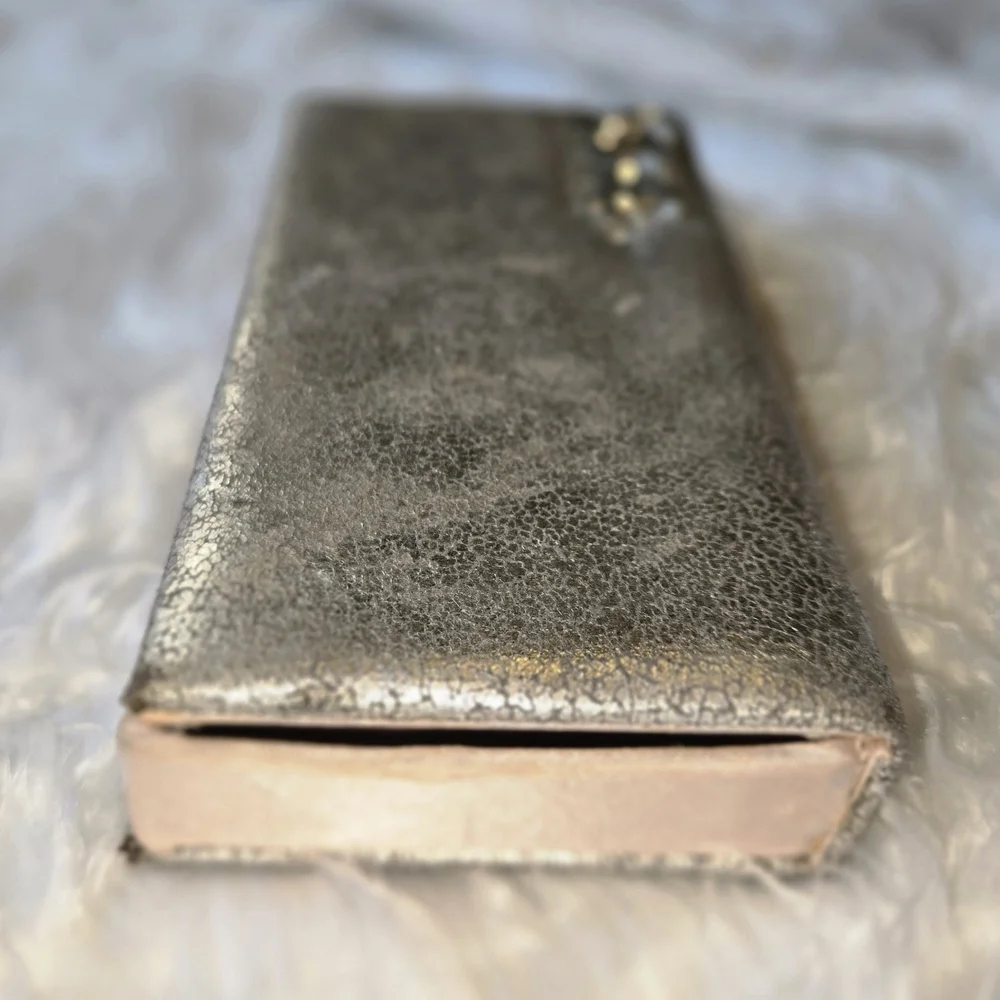Victoria's Secret Shimmering Goldie Makeup Brush Case Crackled Silver